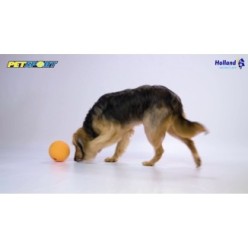 Distributeur de Croquettes pour Chiens Petsport Kingpin Kibbler Noir