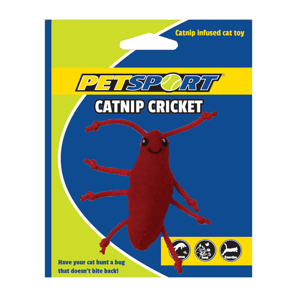 Petsport Cricket Cataire - Jouet Criquet Herbe Chat Cordes