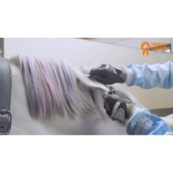 Craies de coloriage arc-en-ciel Paardenpraat : L'art équestre en couleurs !