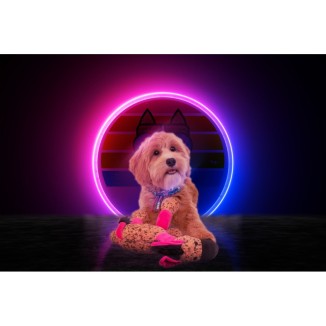Retrodog Âne: Accessoire Tendance pour Chien