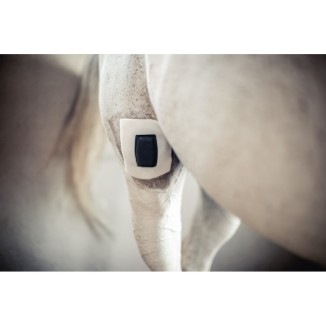 Protection des plaies Rheva Kombo | Professionnel