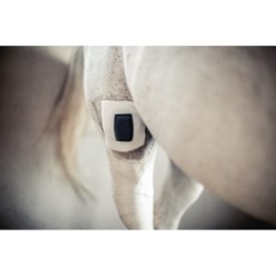 Protection des plaies Rheva Kombo | Professionnel