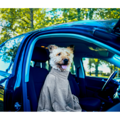 Sac de séchage Royal Dry Doggy Bag - Pratique et compact