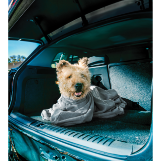 Sac de séchage Royal Dry Doggy Bag - Pratique et compact