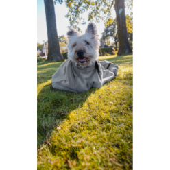 Sac de séchage Royal Dry Doggy Bag - Pratique et compact