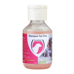 Excellent Shampooing Tea Tree 100ml - Shampooing Assainissant