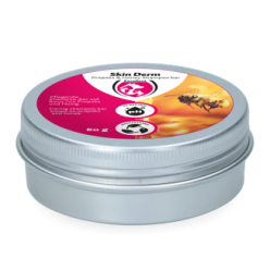 Shampoing Solide Réparateur au Propolis - Excellent Skin Derm 60g