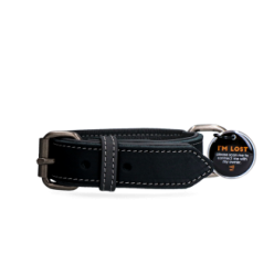 Collier Pro en Cuir pour Chien