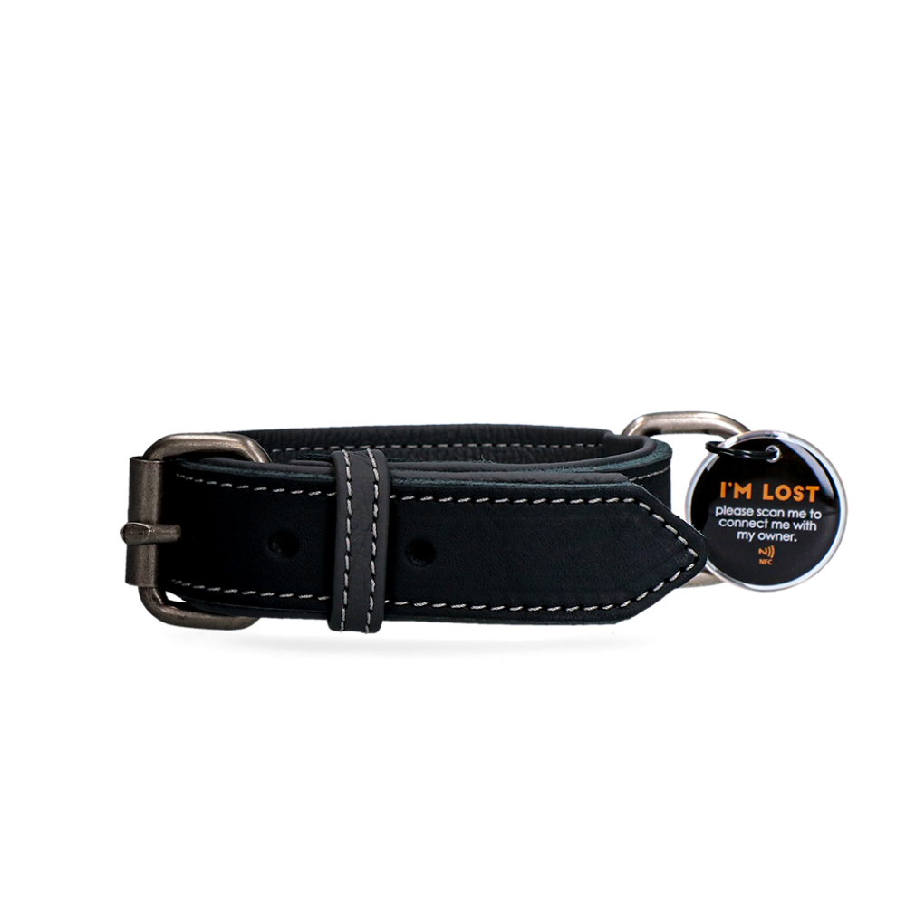 Collier Pro en Cuir pour Chien