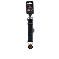 Collier Pro en Cuir pour Chien