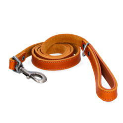 Laisse Pro en Cuir pour Chien Spotted!