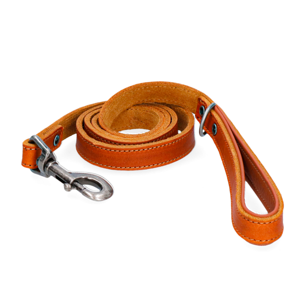 Laisse Pro en Cuir pour Chien Spotted!
