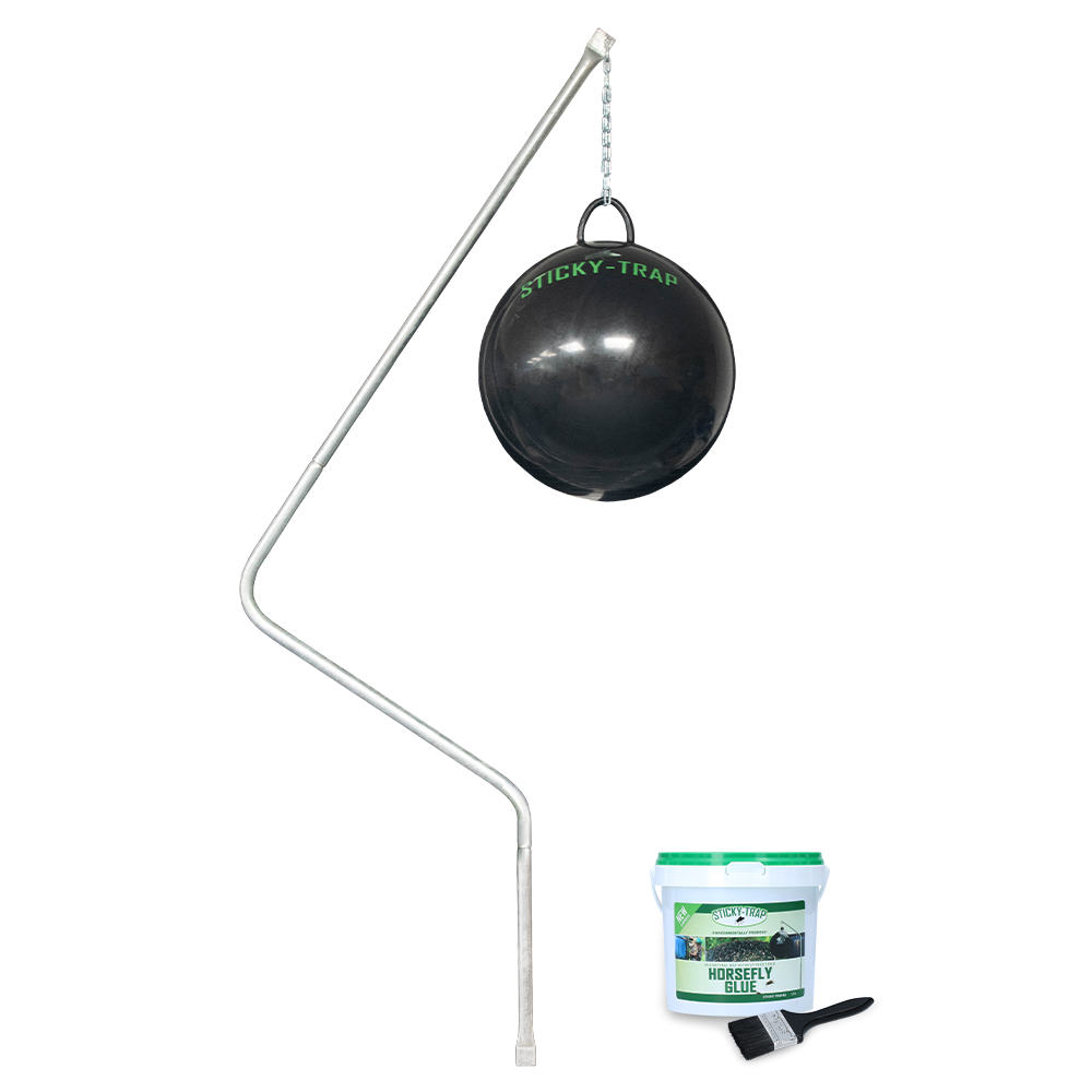 Piège collant Piège à colle complet Heavy | Professionnel
