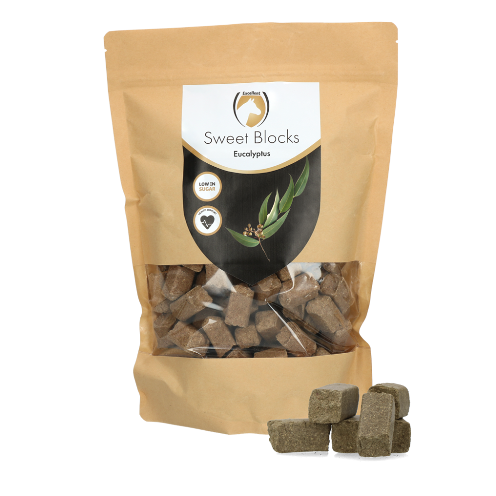 Excellent Blocs Sucrés pour Chevaux à l'Eucalyptus | Professionnel