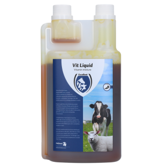 Excellent Vit Liquide Multivitamines 1litre | Professionnel