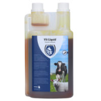 Excellent Vit Liquide Multivitamines 1litre | Professionnel