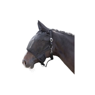 Harnais avec masque anti-mouches pour poney - Protection optimale !