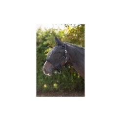Harnais avec masque anti-mouches pour poney - Protection optimale !