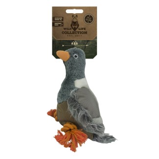 Pigeon Wild Life - Un compagnon original