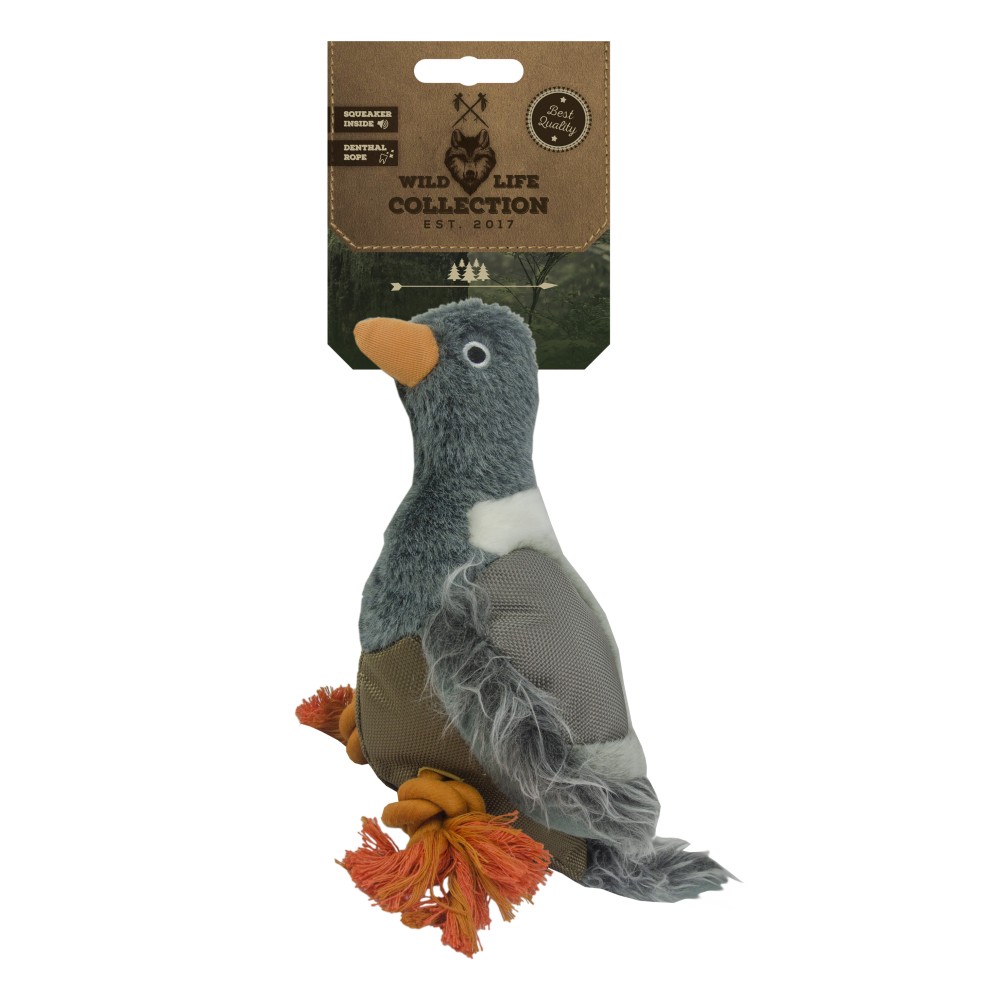 Pigeon Wild Life - Un compagnon original
