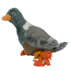 Pigeon Wild Life - Un compagnon original