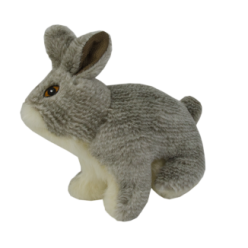 Lapin Wild Life - Collection Wild Life