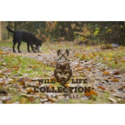 Lapin Wild Life - Collection Wild Life