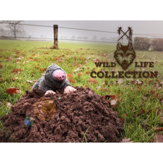 La taupe Wild Life: Collection Wild Life, 10x26x16 cm
