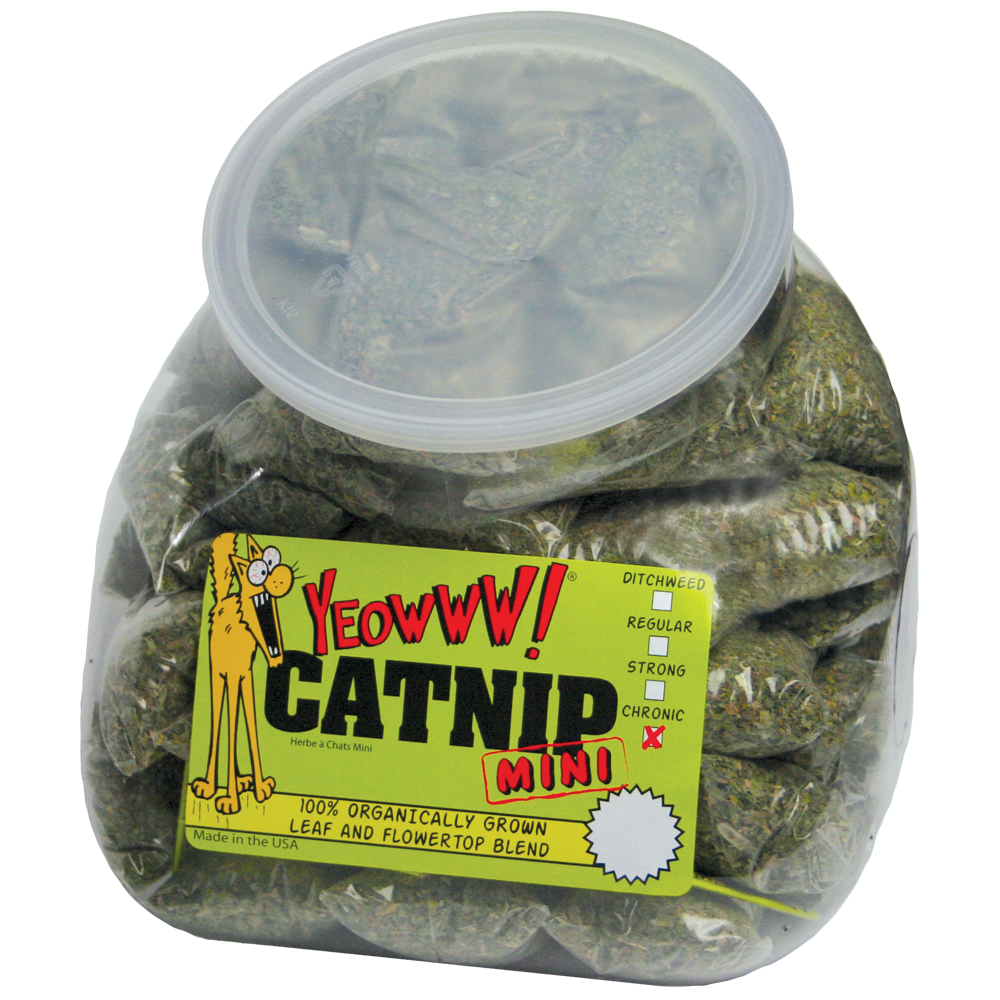 Yeowww! Minis 50 Pièces - Lot Jouets Herbe Chat Bio Professionnels