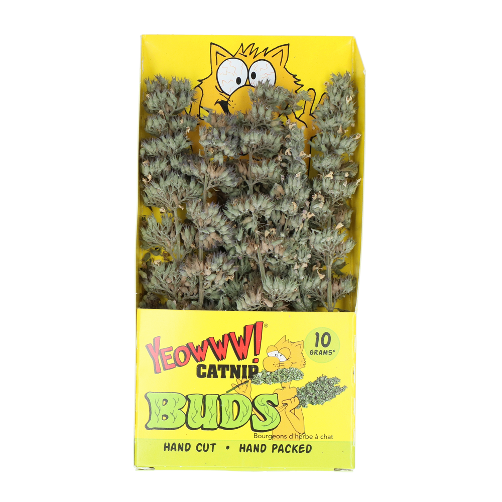 Yeowww! Bourgeons de Catnip - Jouet pour Chat de Qualité US