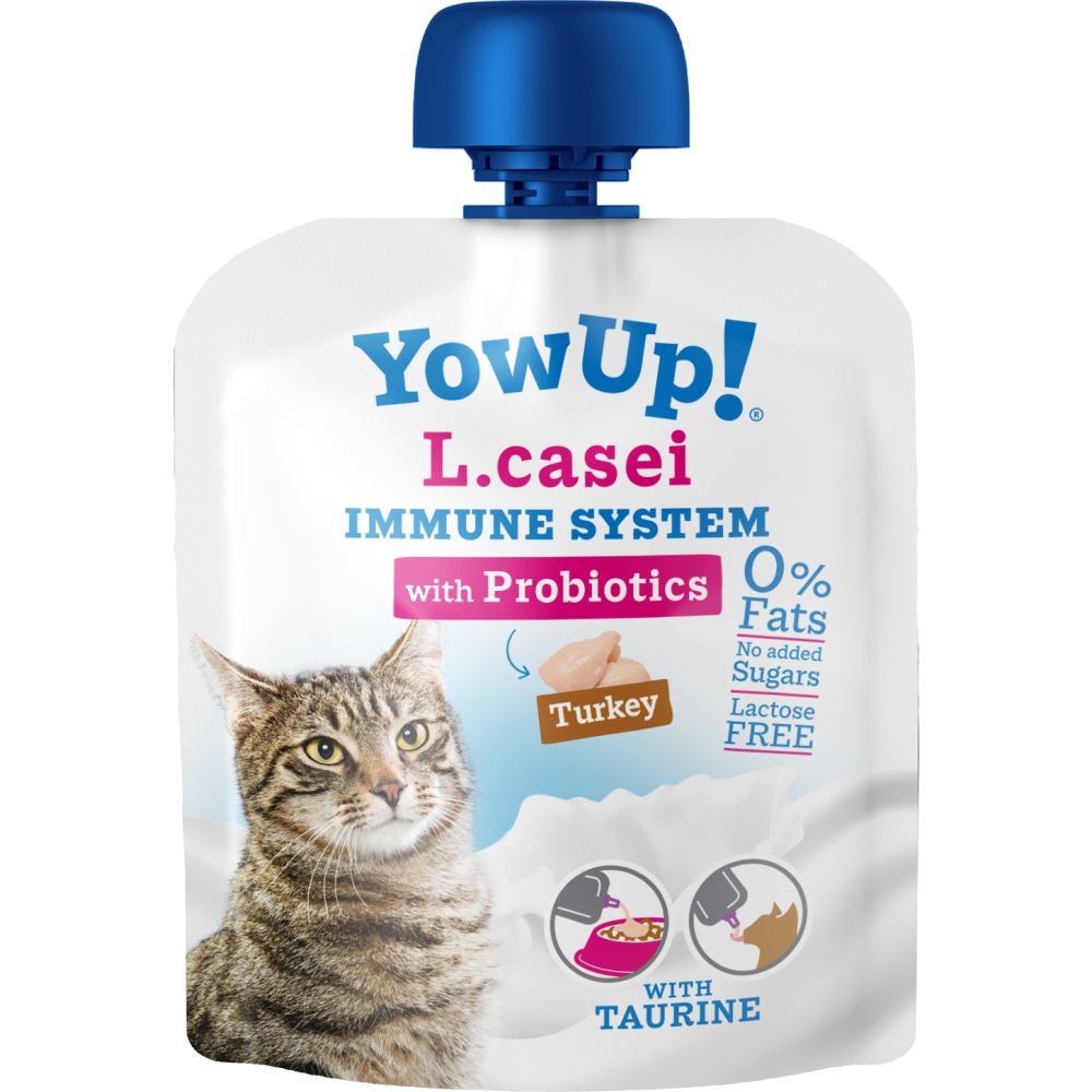 Renforcez l'immunité de votre chien avec YowUp! Dinde Chat L. Casei
