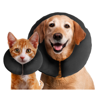 Zenpet ProCollar - Collerette Gonflable Confort Post-Opératoire Chien