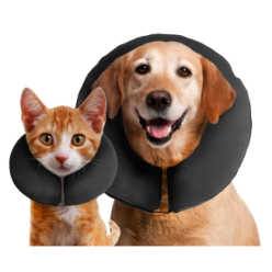 Zenpet ProCollar - Collerette Gonflable Confort Post-Opératoire Chien