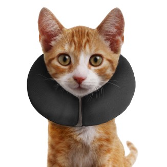 Zenpet ProCollar - Collerette Gonflable Confort Post-Opératoire Chien