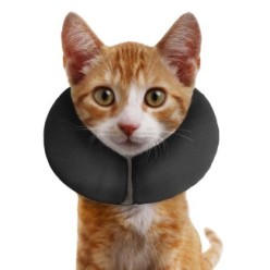 Collier de protection Zenpet ProCollar pour chien et chat