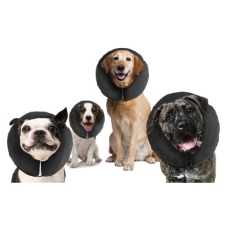 Zenpet ProCollar - Collerette Gonflable Confort Post-Opératoire Chien