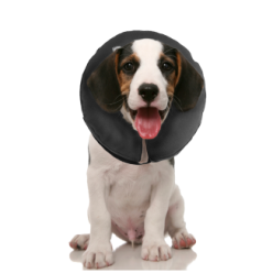 Zenpet ProCollar - Collerette Gonflable Confort Post-Opératoire Chien