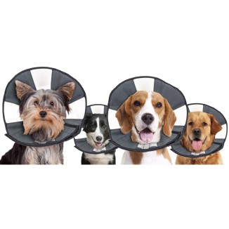 Zenpet Procone - Cône de Protection pour Chiens