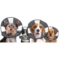 Zenpet Procone - Cône de Protection pour Chiens
