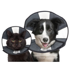 Zenpet Procone - Cône de Protection pour Chiens