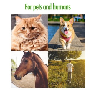 Retrait de tiques Zenpet pour chiens - Pratique et efficace