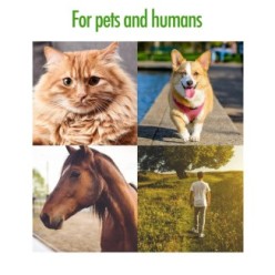 Zenpet Tick Tornado - Tire-Tique Rotation Facile Chien