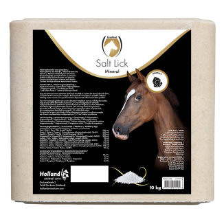 Excellent Bloc de sel minéral pour chevaux 10 kg | Professionnel