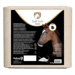 Excellent Bloc de sel minéral pour chevaux 10 kg | Professionnel