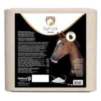 Excellent Bloc de sel minéral pour chevaux 10 kg | Professionnel
