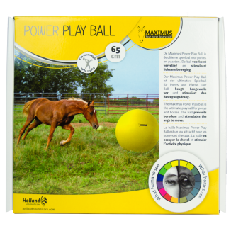 Ballon d'exercice Maximus Power Play 65 cm: idéal pour les chevaux !