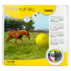 Maximus Power Play Ball | Professionnel