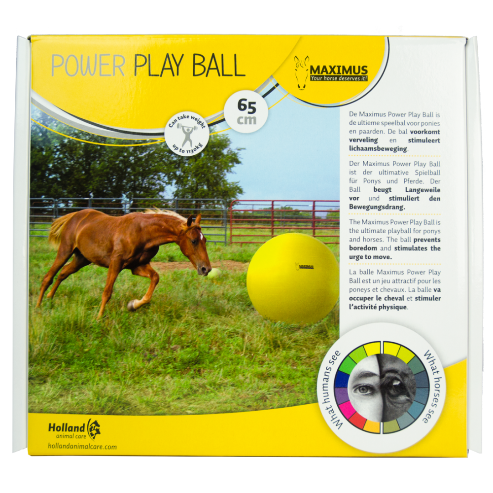 Ballon d'exercice Maximus Power Play 65 cm: idéal pour les chevaux !