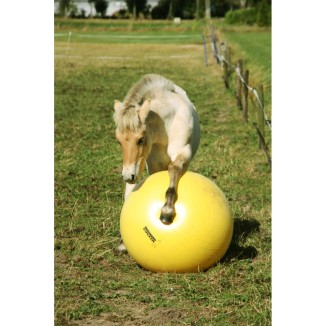 Ballon d'exercice Maximus Power Play 65 cm: idéal pour les chevaux !