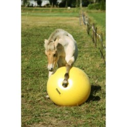 Ballon d'exercice Maximus Power Play 65 cm: idéal pour les chevaux !